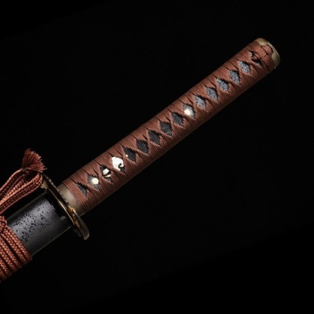 Raptor katana