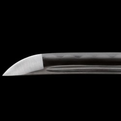Raptor katana