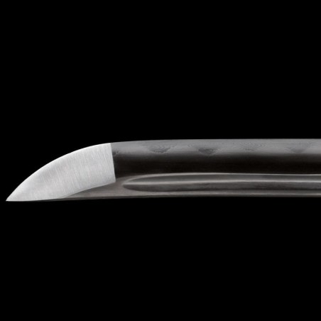 Raptor katana
